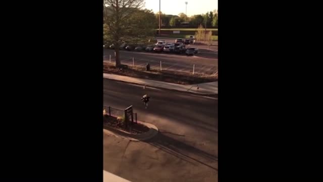 Angry geese attack woman on the road