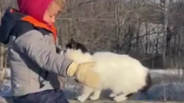 The Best of Boy and Cat Friendship