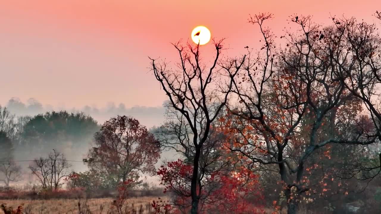 The most beautiful scenery in China is like a landscape painting 中國的美景如同山水水墨畫,美輪美奐