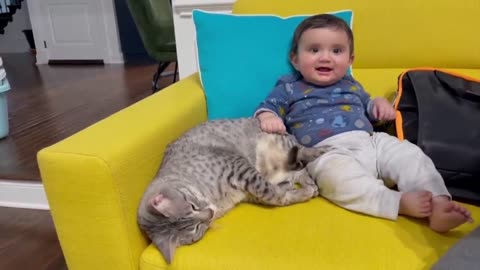 Cutest Babies Play With Dogs And Cats Compilation