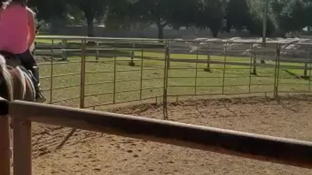 English riding. Learning how to post.