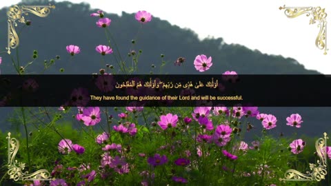 Quranic verses, مقتطفات قرانية, Beautiful Quran, Viral, تلاوة جميلة, القران الكريم, عبد الباسط ,