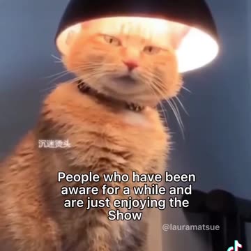 News Break: New ANon's compared to old ANon's.