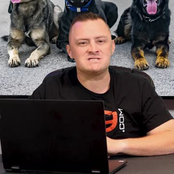 Why You SHOULDN’T Get a Belgian Malinois