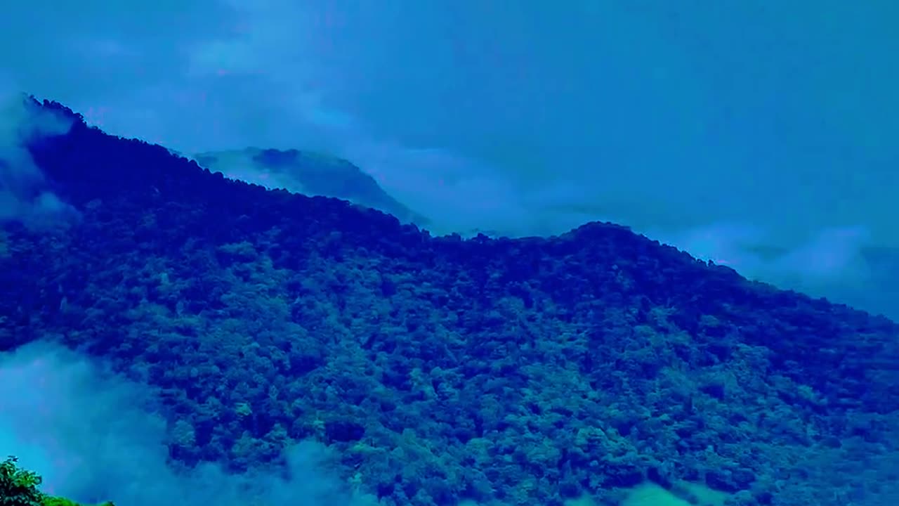Discover Wayanad's Paradise: Nadukani Estate in 60 Seconds! 🌿🌄 | Kerala, India