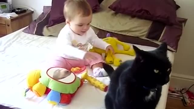 Baby husky with cat