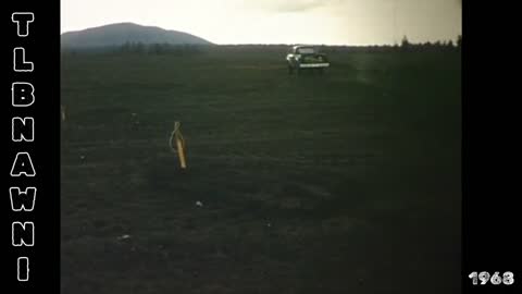 1968 replicating the lunar surface in AZ