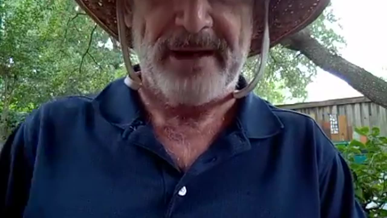 ACIM Lesson 274: Take a Fear-Free Day Off!