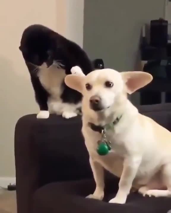 peace was never an option