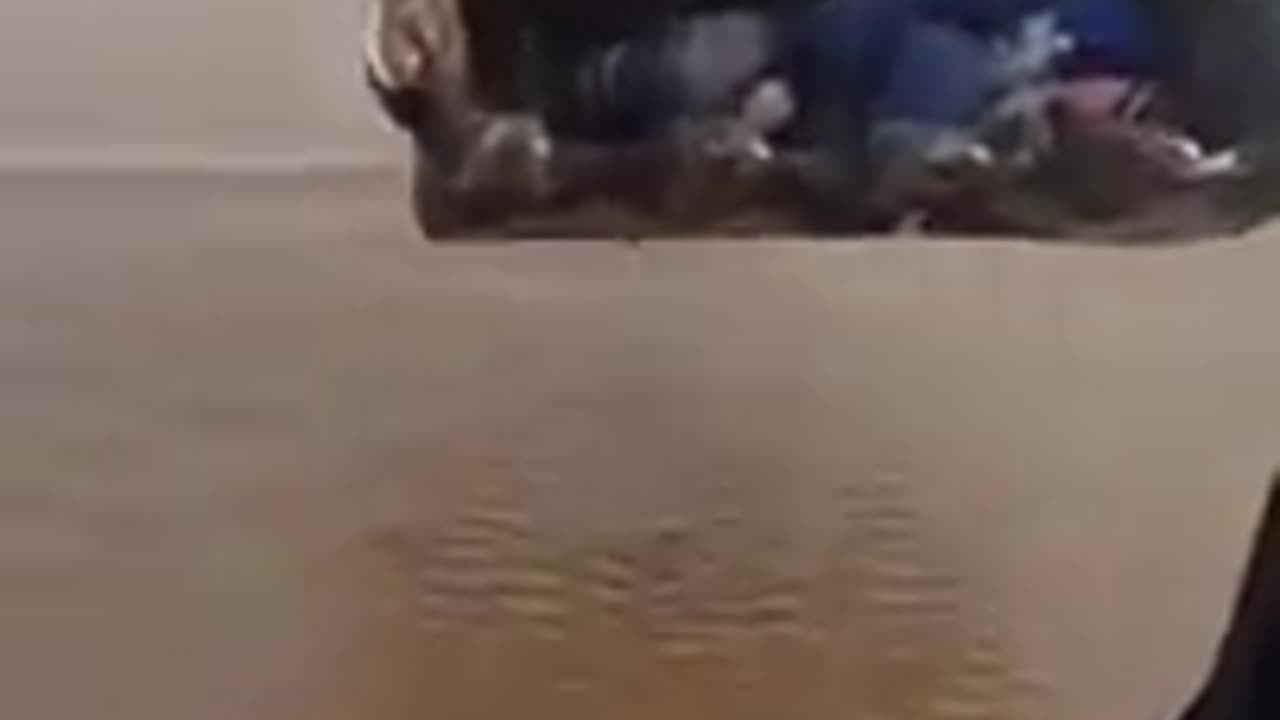 Please dont sleep inside an Excavator Bucket