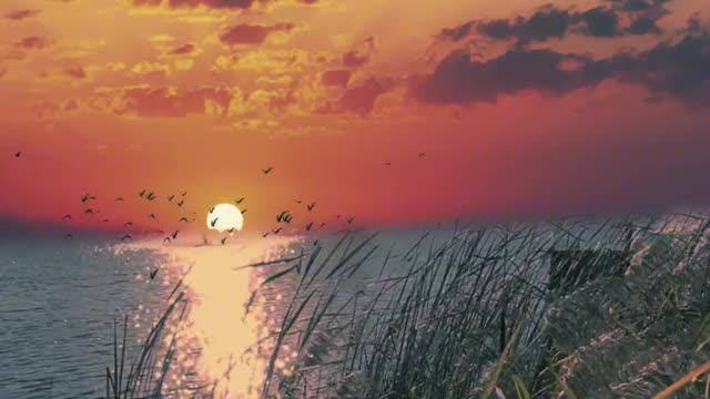 3:The beauty of the evening sun