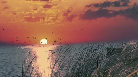 3:The beauty of the evening sun