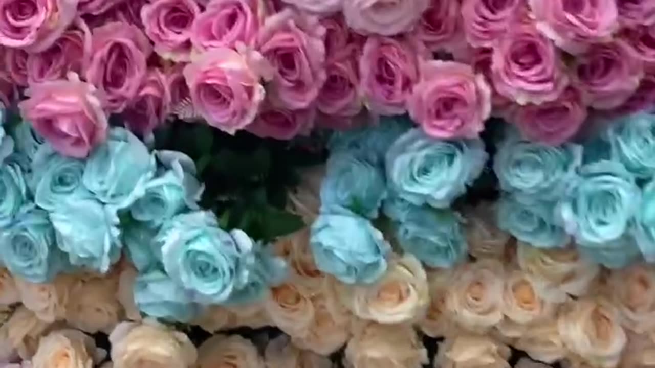 Amazing flowers…..