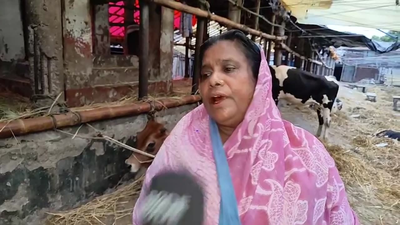 On the third day of Eid, the cow seller went crazy at Gabtali Market, see what Salia Bepari did.