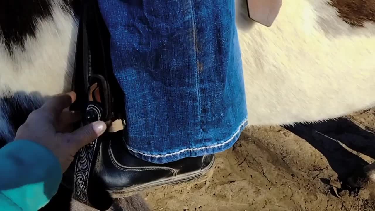 Beginner friendly Horse riding exercises for balance and control
