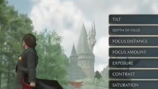 Trying Photo Mode In Hogwarts Legacy #gaming #hogwartslegacy #harrypotter