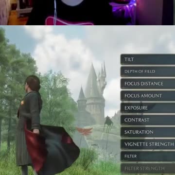 Trying Photo Mode In Hogwarts Legacy #gaming #hogwartslegacy #harrypotter