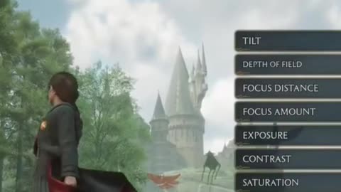 Trying Photo Mode In Hogwarts Legacy #gaming #hogwartslegacy #harrypotter