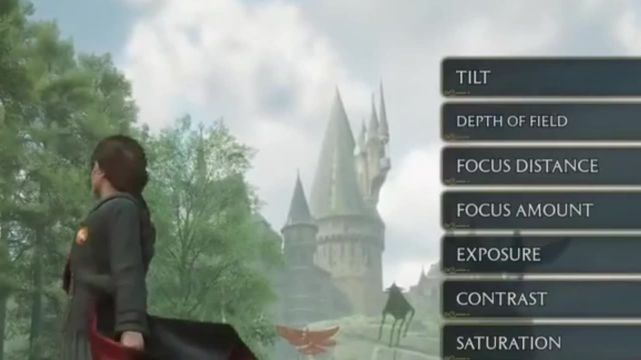Trying Photo Mode In Hogwarts Legacy #gaming #hogwartslegacy #harrypotter