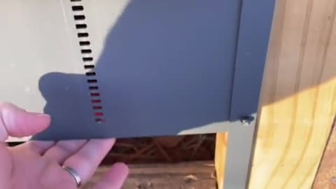#chicks