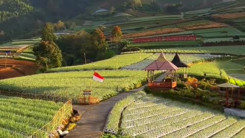 Amazing View in Indonesia