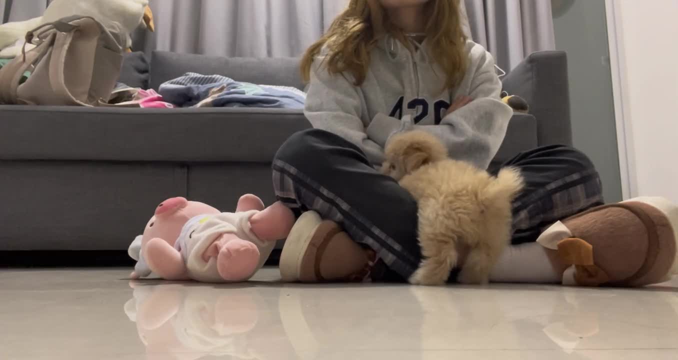 A puppy who can't wait to play with his mother