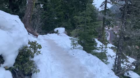 Steep Ridgeline – Tamanawas Falls – Mount Hood – Oregon