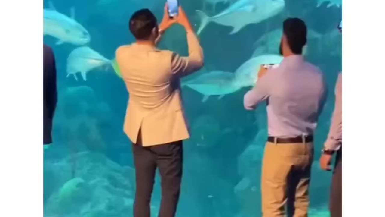 Aquarium Accidents