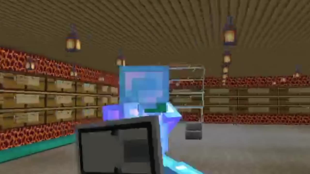 Minecraft storage room