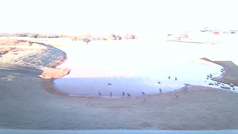 The zpond
