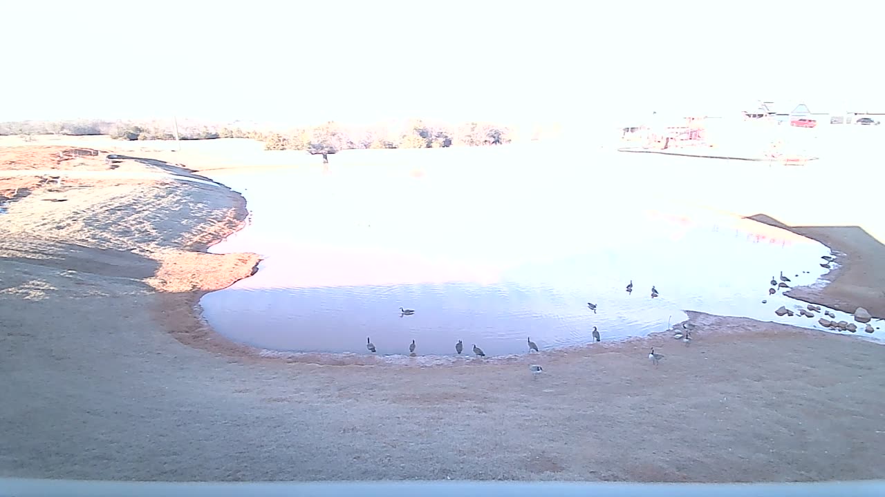 The zpond