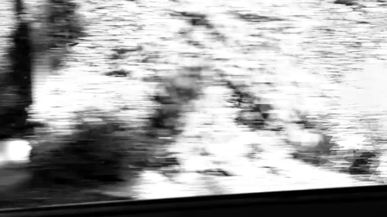 VHS on the go part 3