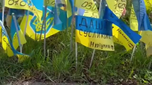 Pigeons supporting Ukraine