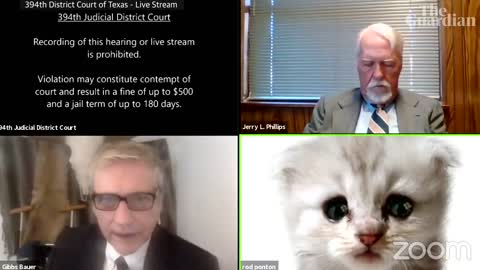 'I’m not a cat': lawyer gets stuck on Zoom kitten filter during court case