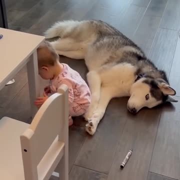 a little cuteness daily 5