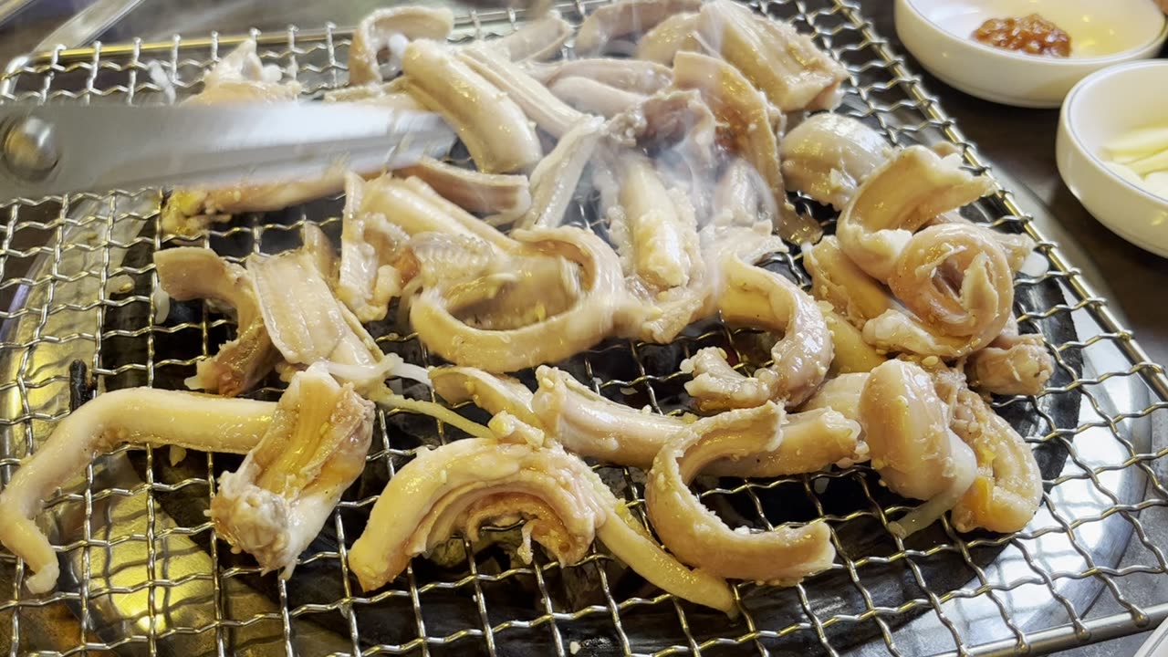 Sea Eel