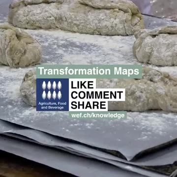 WEF video touts "insect bread"—containing 70 crushed crickets in each loaf—as a solution to the...