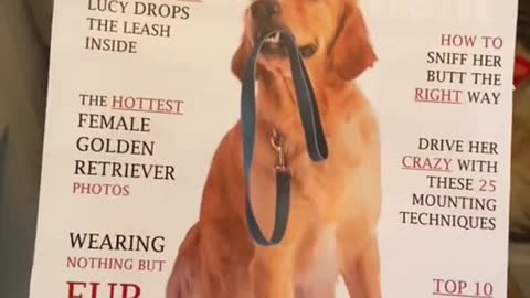 The look on his face when the magazine fell on him...