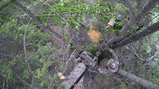 Tim Wells Spears Bear While Using Wyndscent