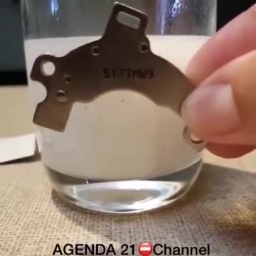 stupid / Fake - bullshit