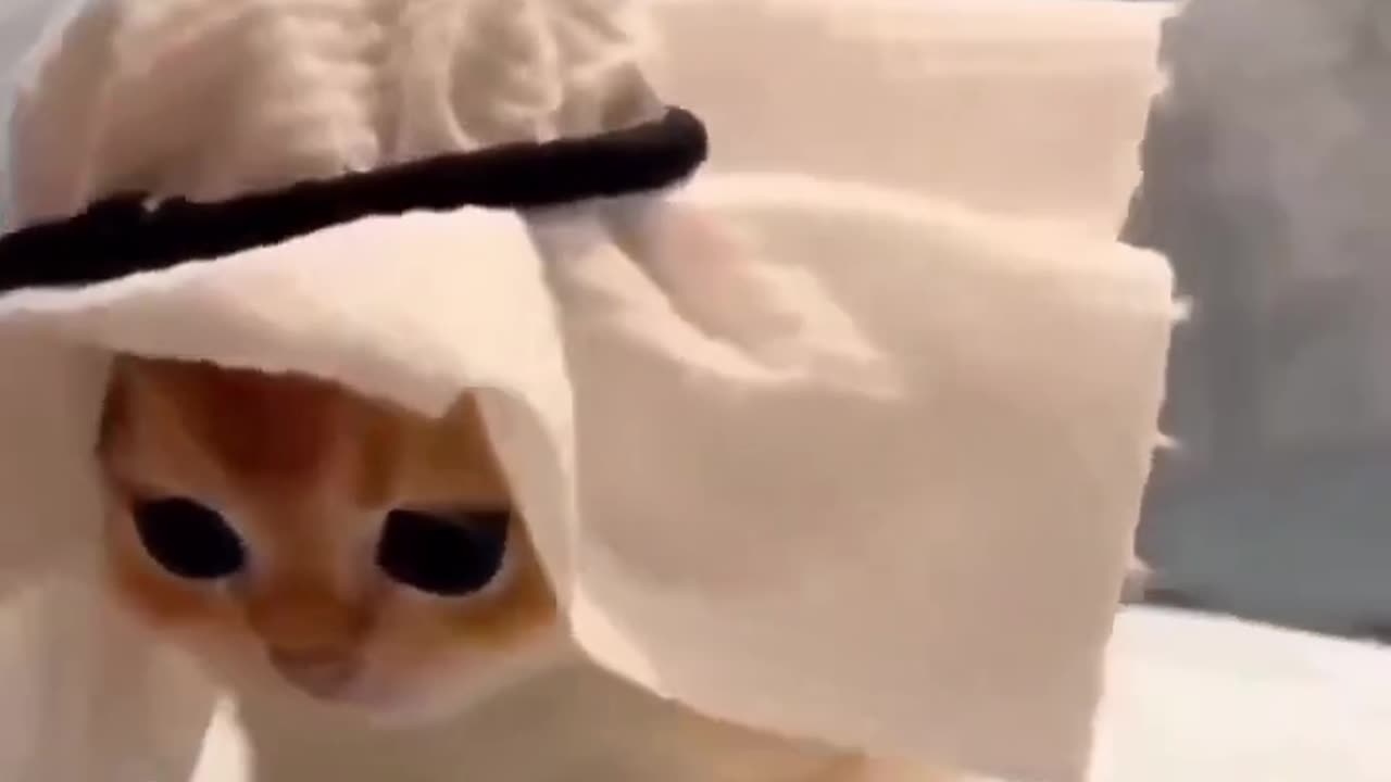 Al habibi