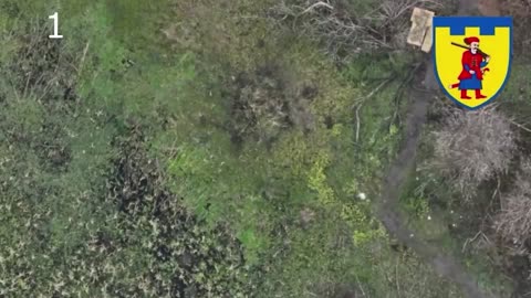 Soldiers of a territorial defense Zaporizhia do not give the enemy a minute of rest