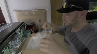 Fish unboxing from Aquahuna.com