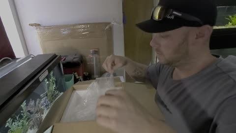 Fish unboxing from Aquahuna.com