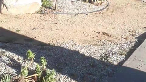 Another world part 1