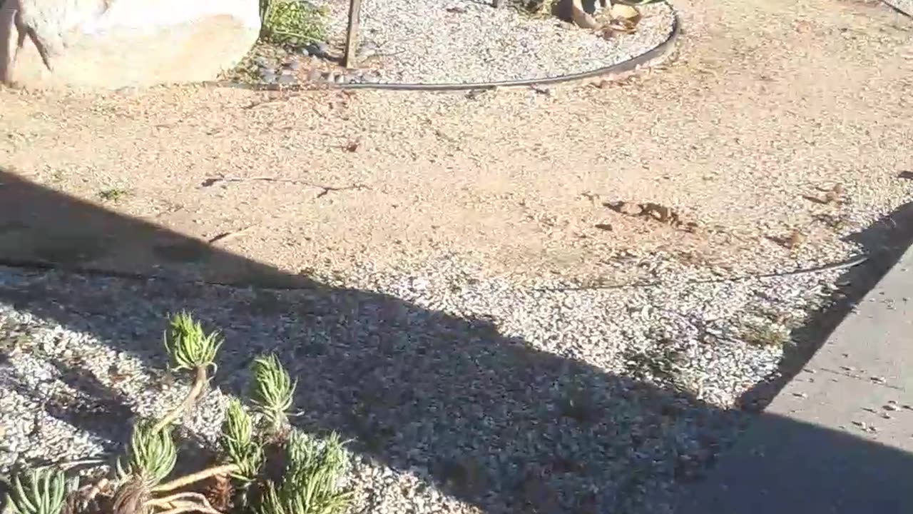 Another world part 1