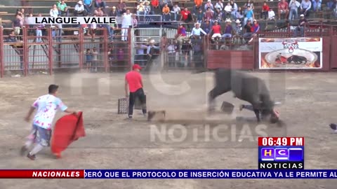Toros