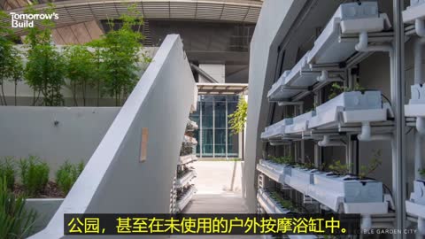 035 新加坡建设未来农场的大胆计划