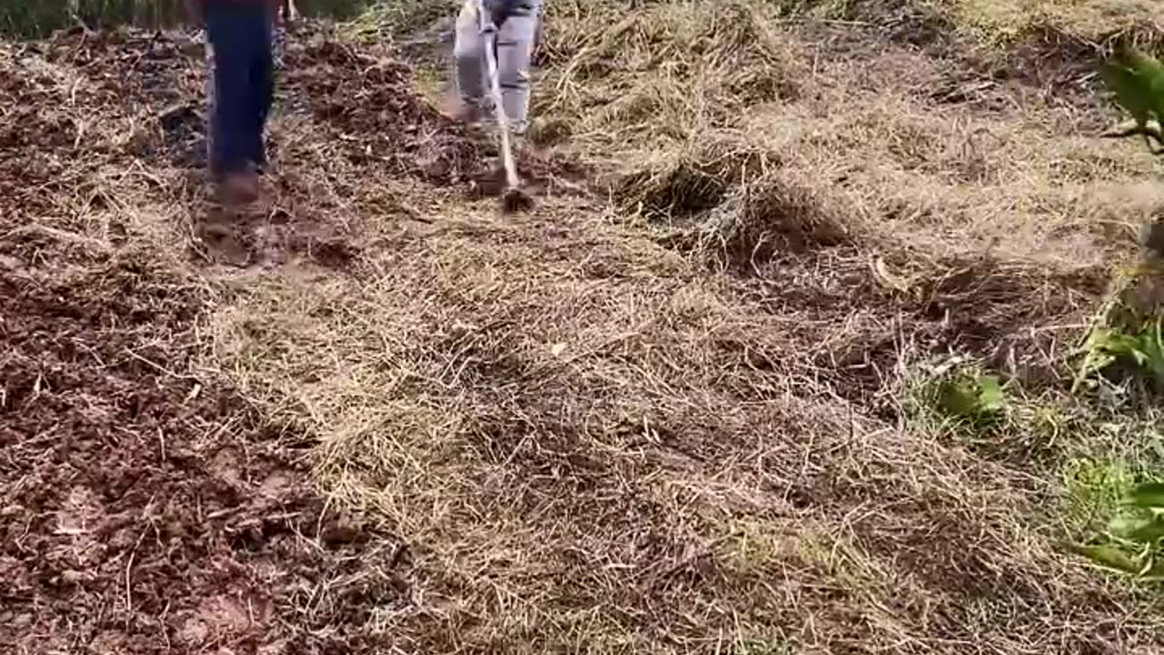 Funny video viral best video