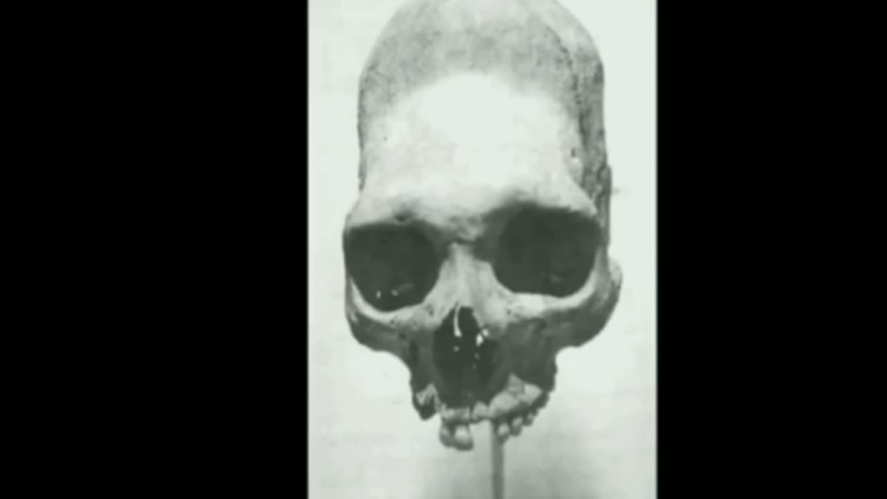 WHY the "Cover-Up" of Ancient Giant NEPHILIM Skeletons in the US?